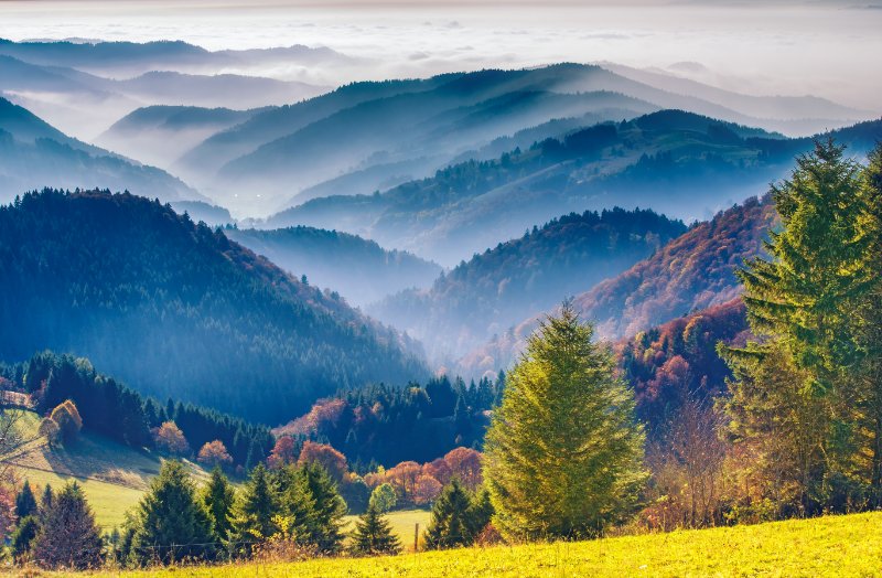 Aerial view of Black Forest