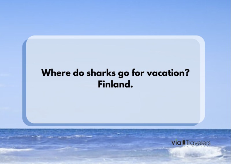 Where do sharks go for vacation? Finland Travel joke