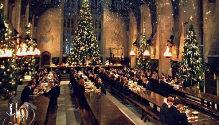 Harry Potter Christmas vacations