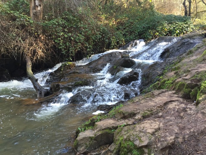 Hidden Falls Regional Park