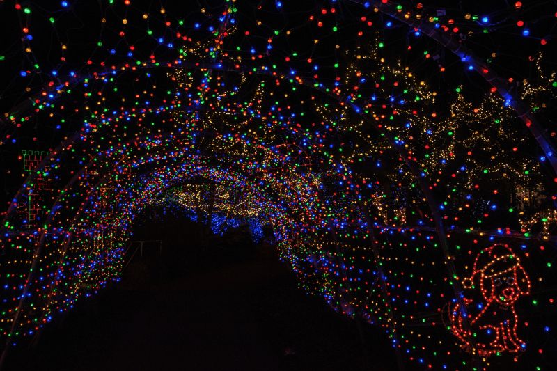 Bentleyville "Tour of Lights" Duluth