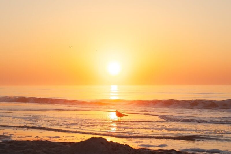 Hilton Head, South Carolina Beach