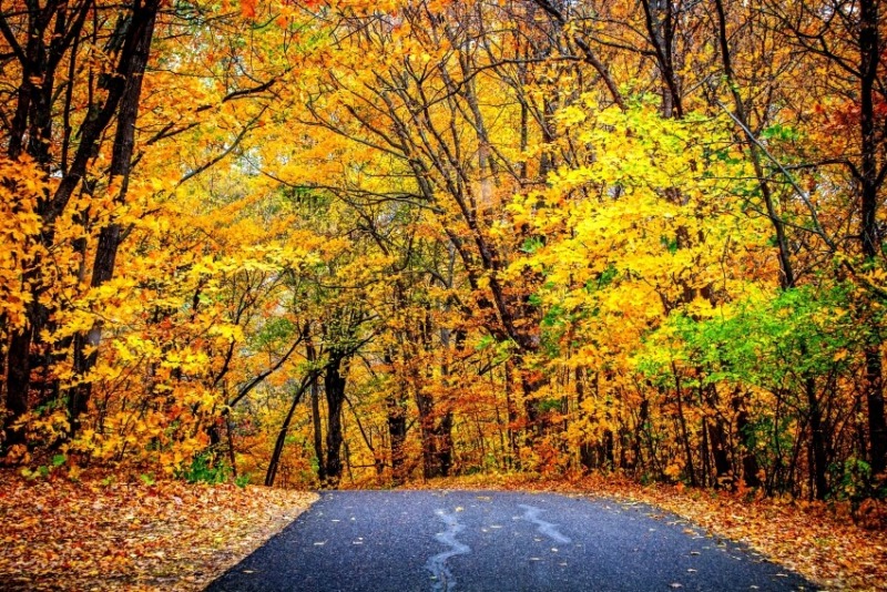 Scenic Trail at Chaska’s Landscape Arboretum