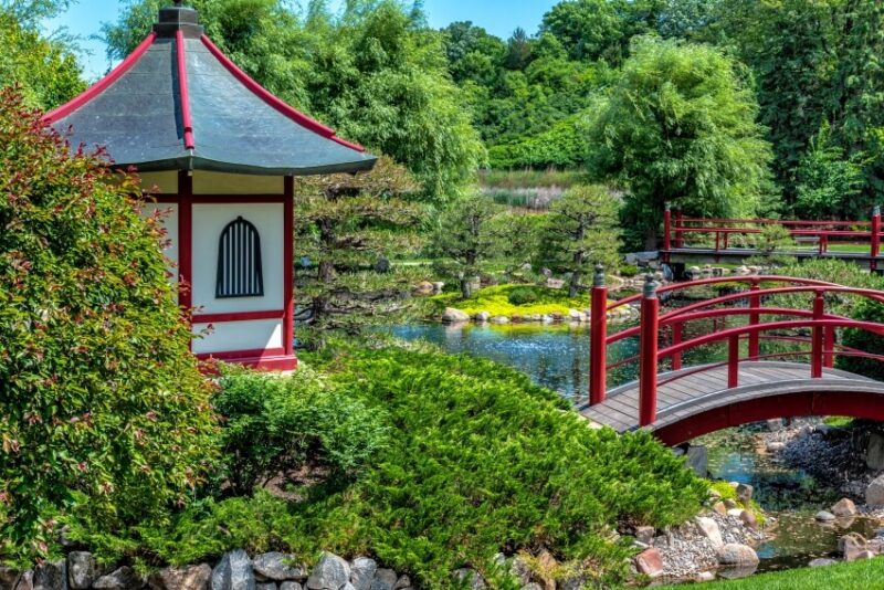 Japanese Garden with Red Bridge