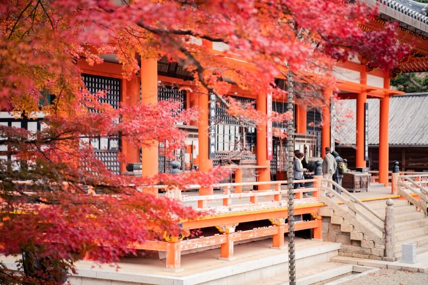 Autumn Colors in Trees Surrounding a Shrine