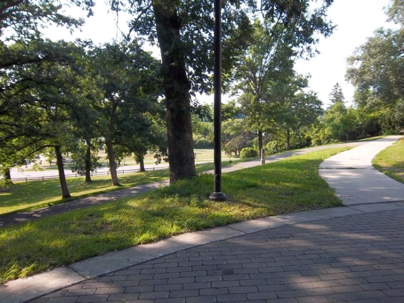 Empty Trails Surrounded with Trees
