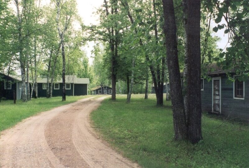 Road Leading to a Forest