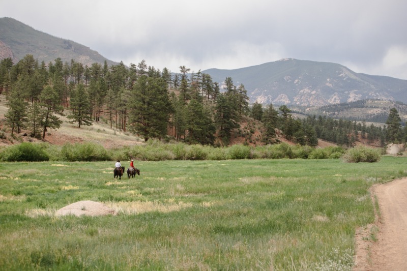 Horses and nature backdrop in Lost Valley Ranch