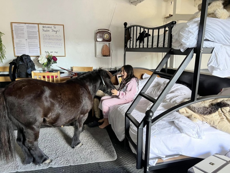 girl with a horse in Stable Stays Horse Hotel