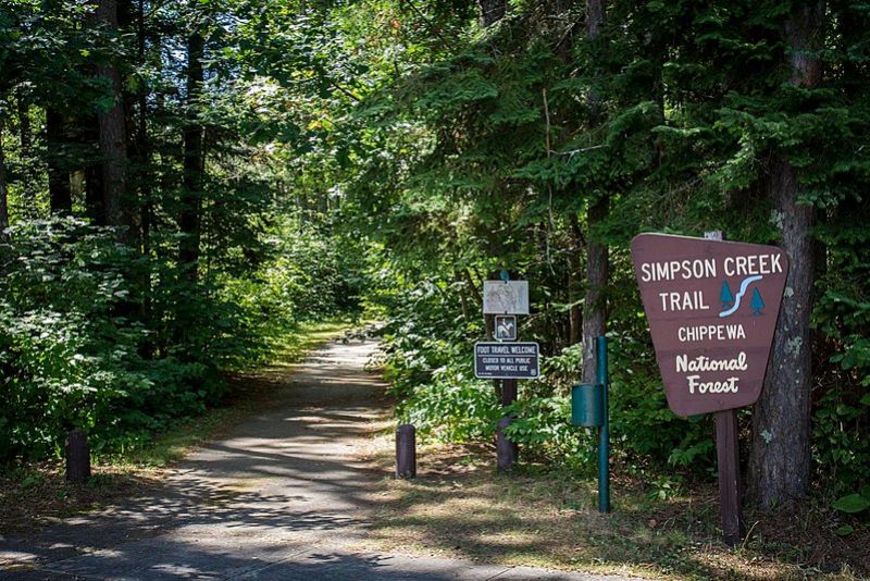 Chippewa National Forest's Simpson Creek Trail