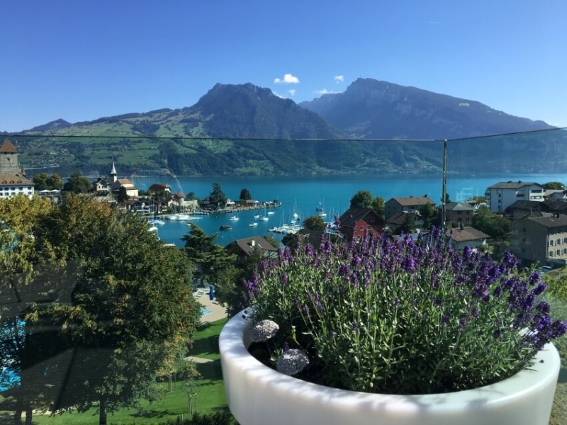 Plants and Mountain Views at Spiez, Switzerland