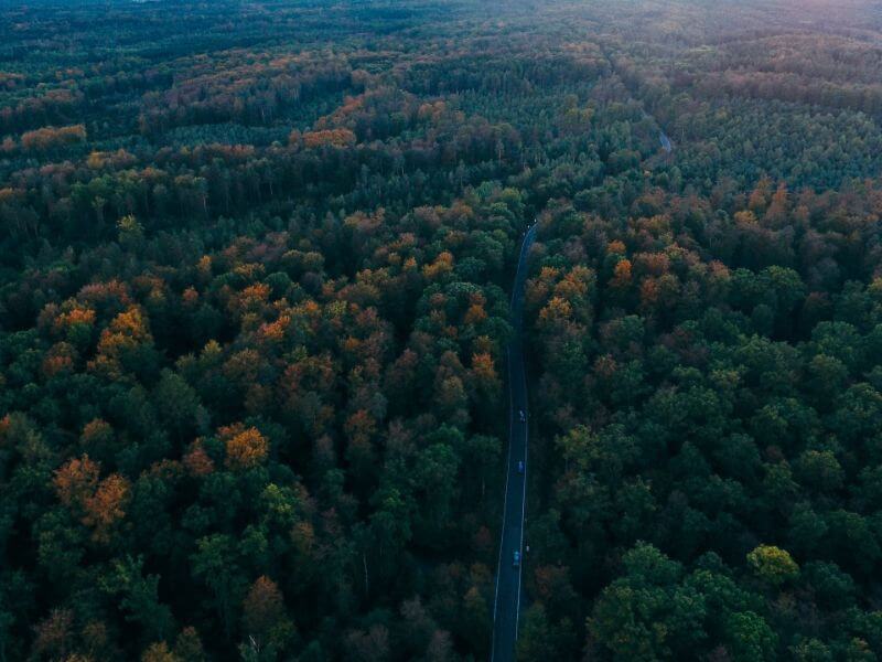 points of interest in black forest germany