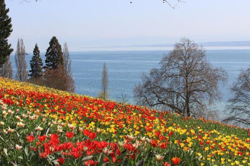  Insel Mainau, Lake Constance