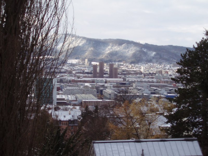 Zurich West Skyline