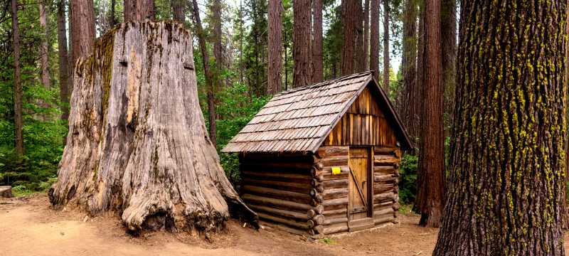 Cabin at Nelder Grove