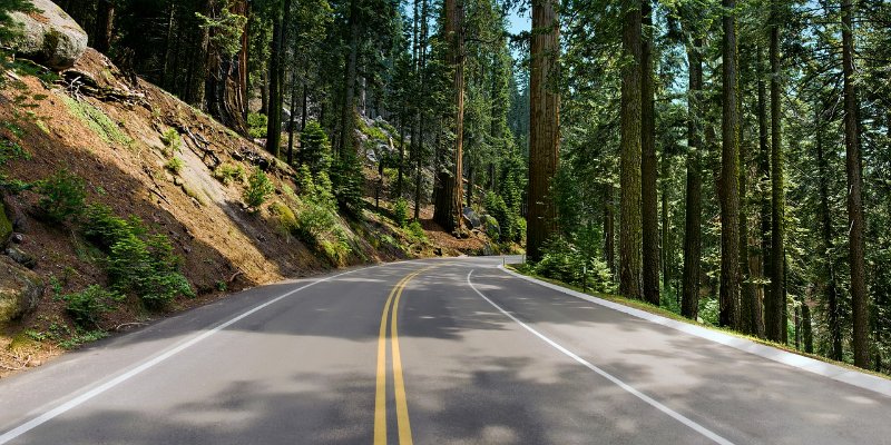 Redwood Highway