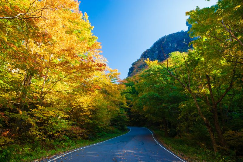 Stowe Mountain Auto Toll Road