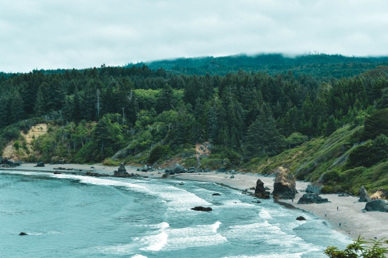 Trinidad State Beach Aerial View