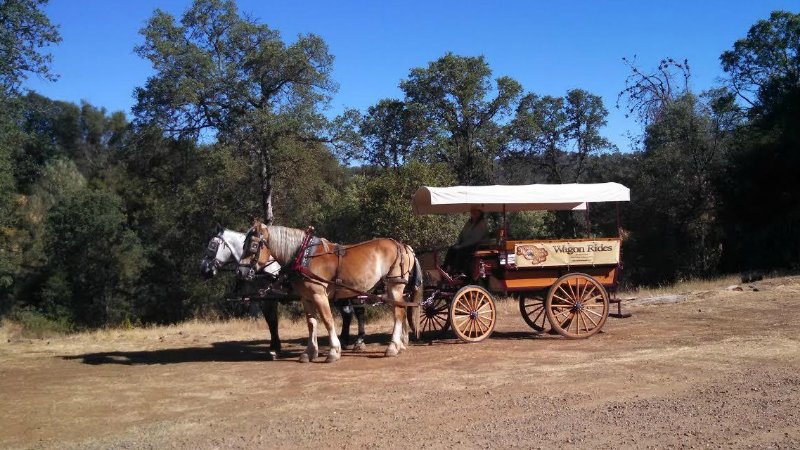 Mariposa Stage Line Carriage
