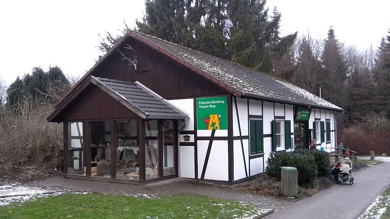 Zoo Shop And Collection Of Specimens