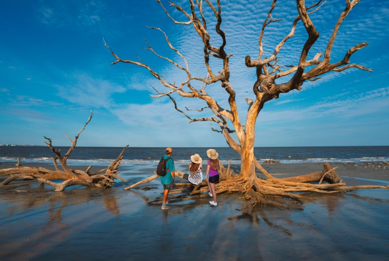 Jekyll Island Scenery