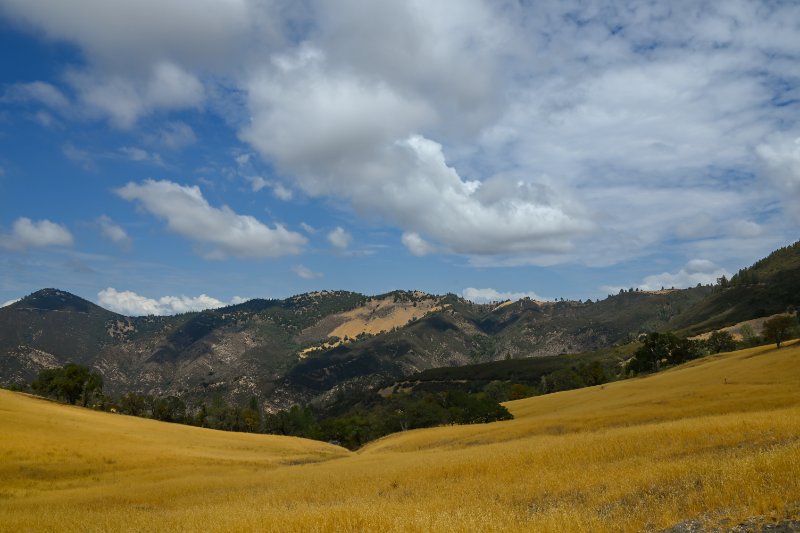 Los Padres National Forest Scenery