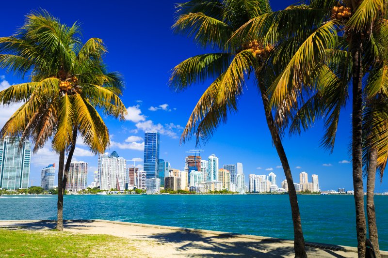 Miami Skyline and Buildings