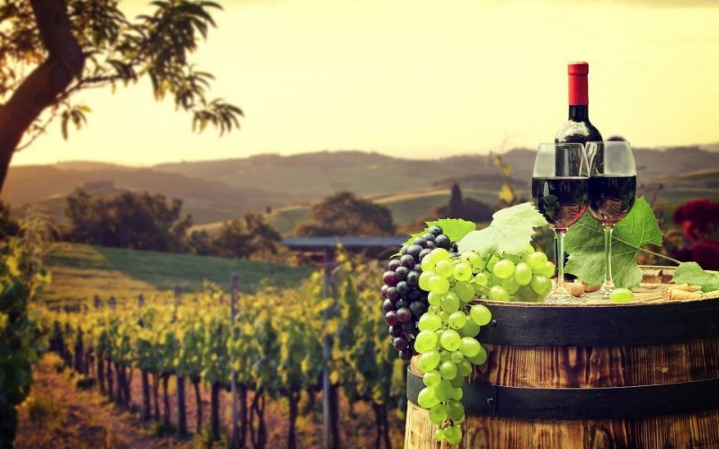 Nice, France Wine