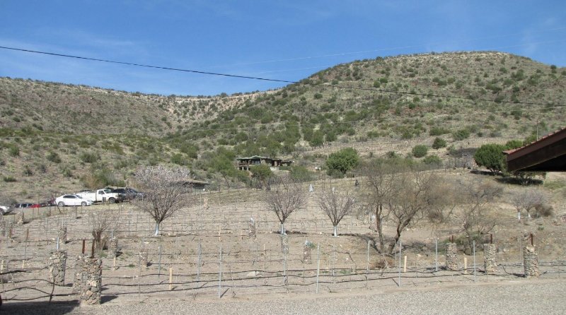 Verde Valley Wine Trail Scenery