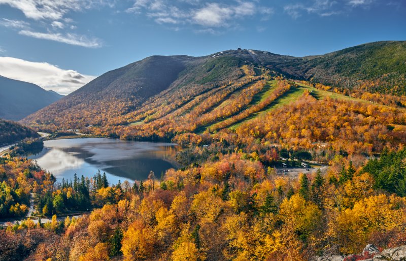 White Mountains Aerial View