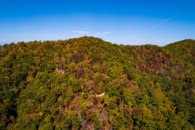 buffalo mountain park johnson city