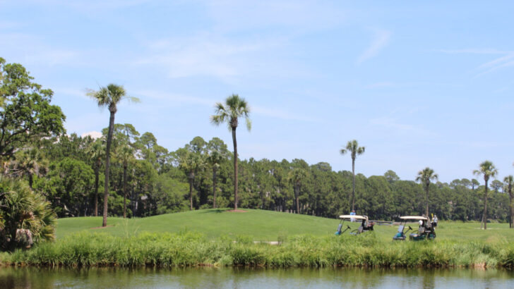 Kiawah Island Resort, Golf course photography, palm trees, and green landscapes