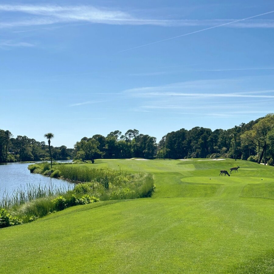 Golf course in The Sanctuary at Kiawah Island Golf Resort