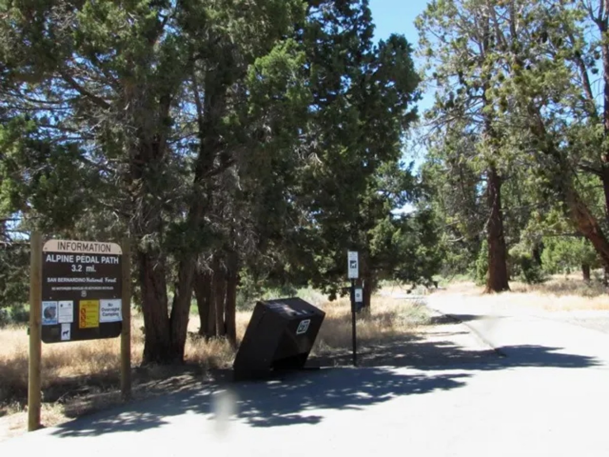 Trail in Alpine Pedal Path