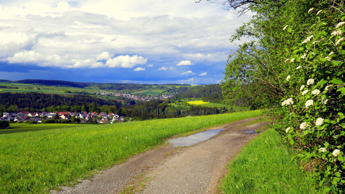 Black Forest skyline view and hiking trail panorama surrounded with green meadows