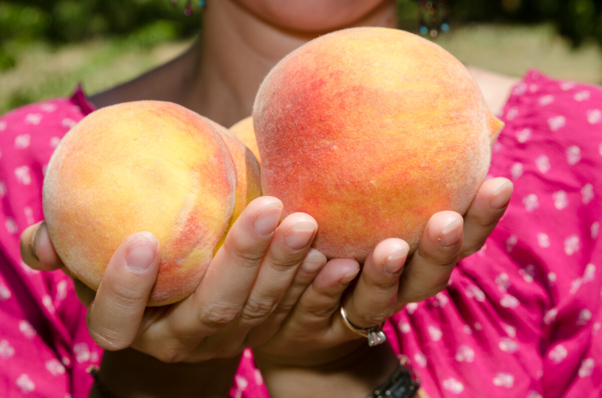 Woman holding peaches