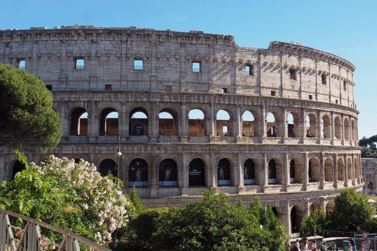 Colosseum in Rome with white flowers in the foreground under a blue sky