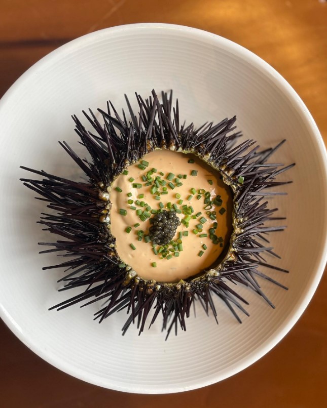 Sea Urchin dish at CUCINA enoteca