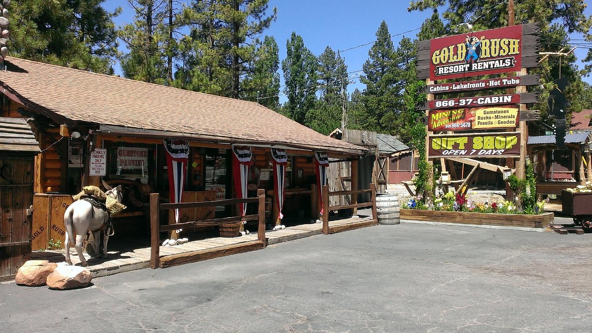 Gold Rush Mining Adventures in Big Bear Lake