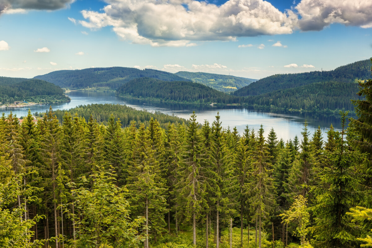 Panoramic view lake Schluchsee and Black Forest in Germany