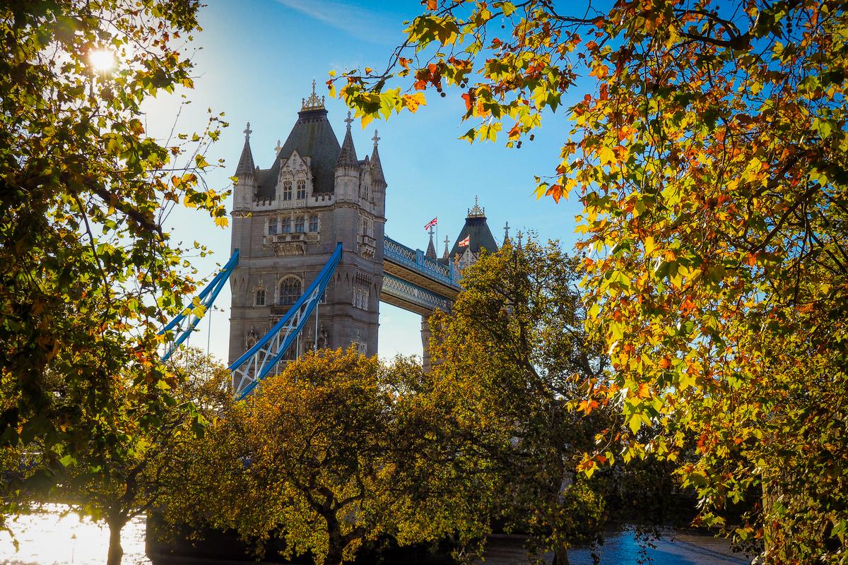 Autumn colors at London's Tower Bridge with sun rays and clear blue sky