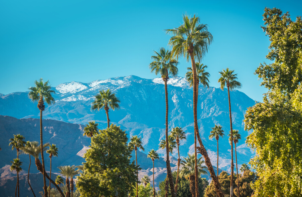 Palm Springs mountain view and trees during winter