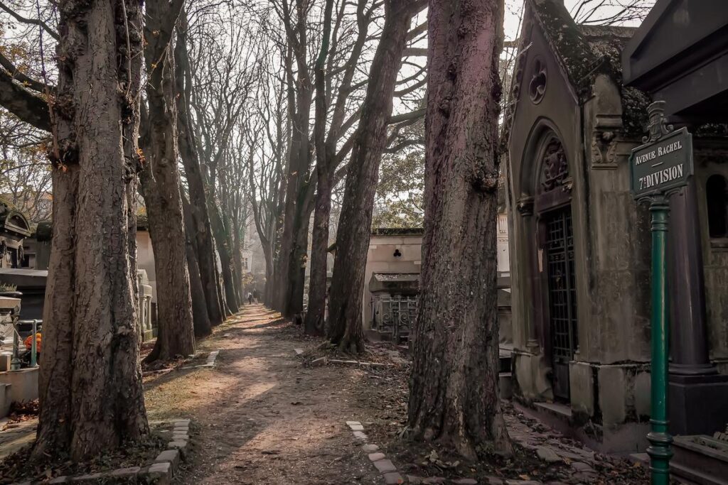 Tree-lined path through Père Lachaise Cemetery in Paris