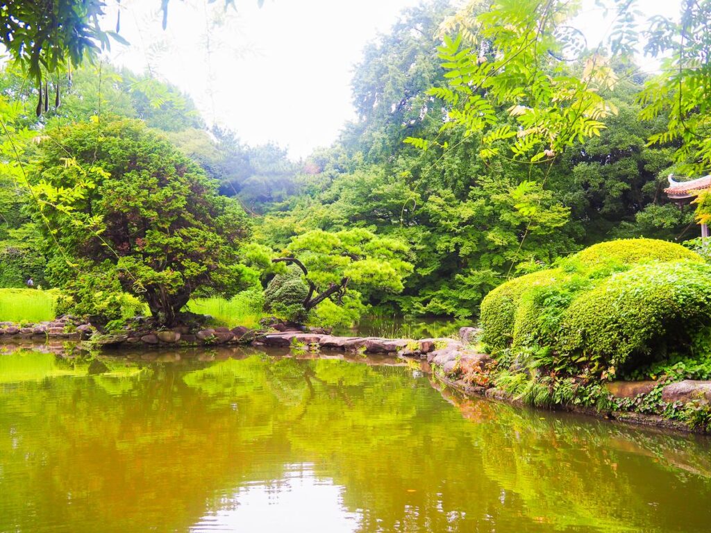 Peaceful pond and lush greenery at Shinjuku Gyoen, Tokyo