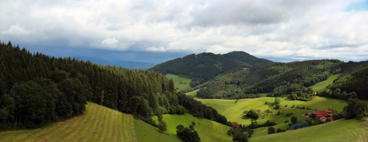 Panoramic view of Black Forest in Germany