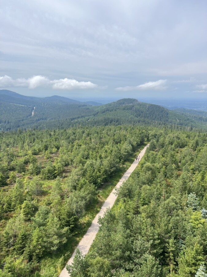 Aerial view of Von Herrenwies über die Badener Höhe