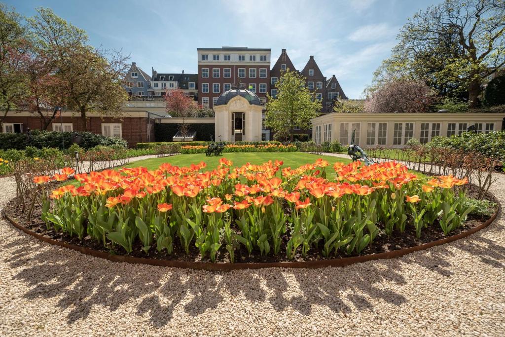 Waldorf Astoria Amsterdam garden and building